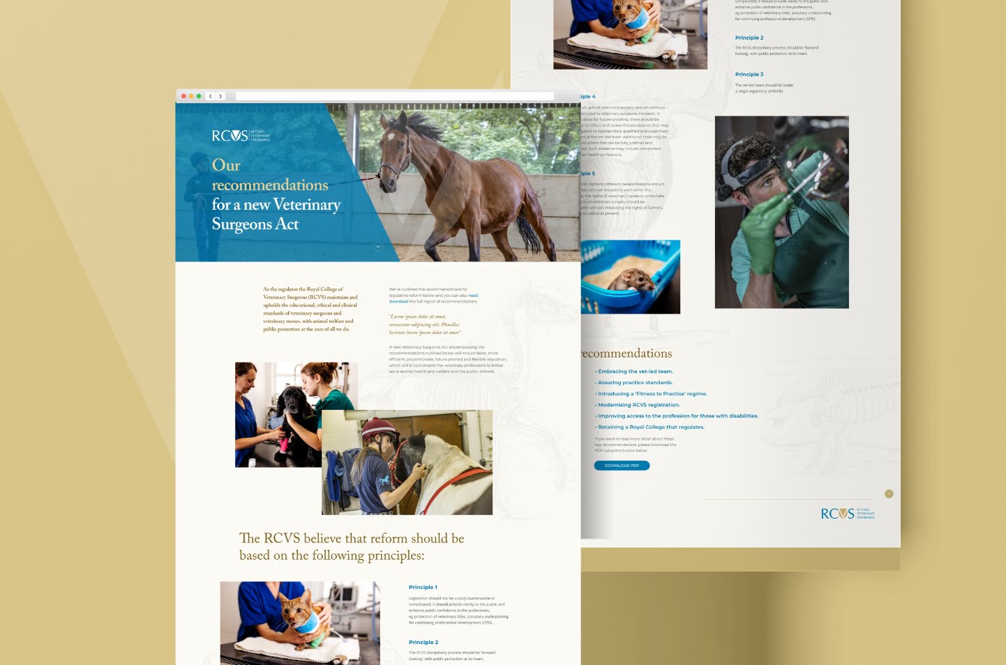 RCVS-web-visual